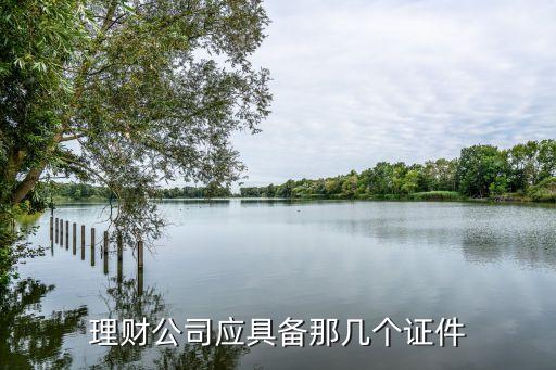 理財需要什么證件，理財?shù)姆诸悘氖吕碡敺矫婀ぷ餍枰男┳C