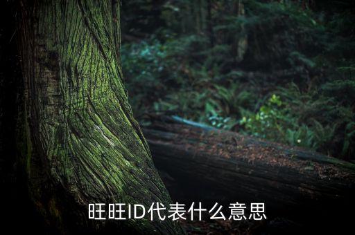 旺旺ID代表什么意思