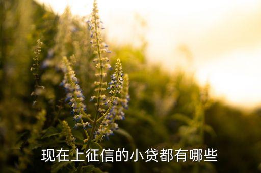 現(xiàn)在上征信的小貸都有哪些