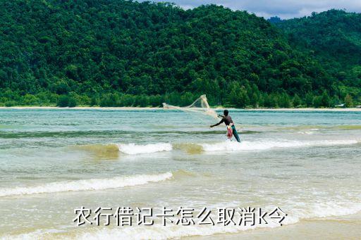 農(nóng)行借記卡怎么取消k令