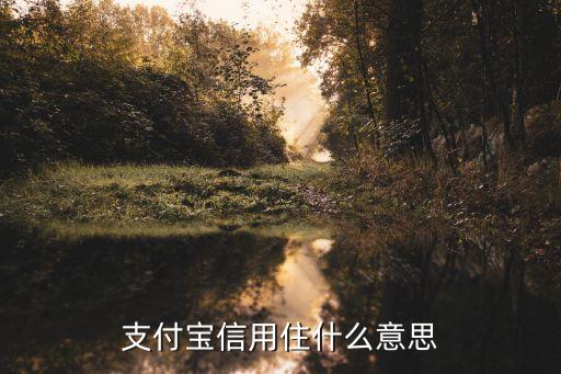 支付寶信用住什么意思