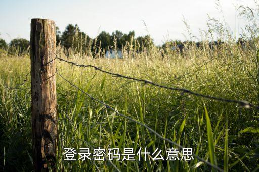 什么是登陸密碼是什么意思啊，請(qǐng)問商業(yè)銀行的登陸密碼是什么意思