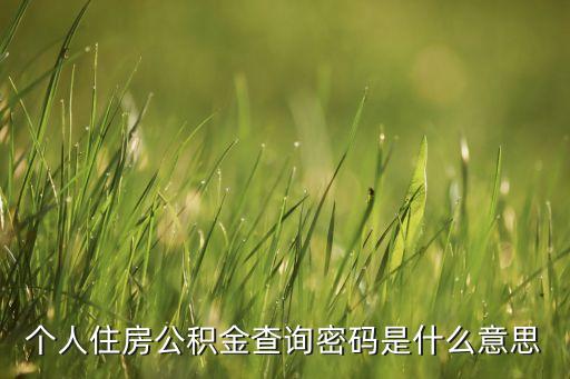 個人住房公積金查詢密碼是什么意思