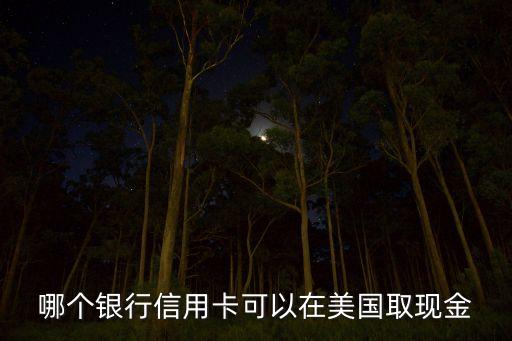什么銀行能用信用卡取美元，哪些銀行信用卡可以境外刷美元