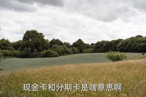 現(xiàn)金隨心分卡是什么卡，現(xiàn)金卡和分期卡是啥意思啊