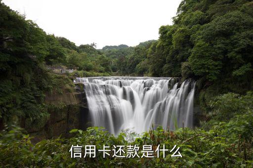 支付寶信用卡還款是什么意思，淘寶網(wǎng)歡迎體驗信用卡還款什么意思