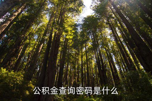 什么是公積金密碼，公積金查詢密碼是什么