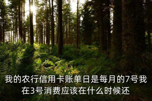 我的農(nóng)行信用卡賬單日是每月的7號我在3號消費(fèi)應(yīng)該在什么時候還
