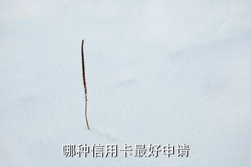 哪種信用卡最好申請