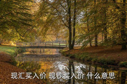 現(xiàn)匯買入價 現(xiàn)鈔買入價 什么意思