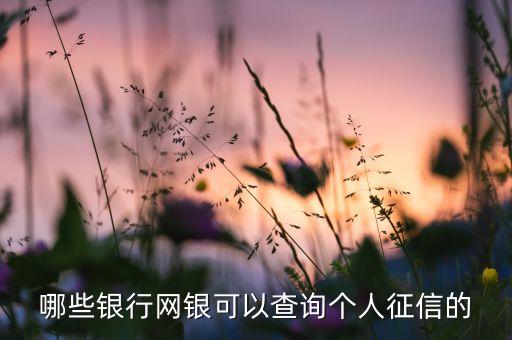 哪些銀行網(wǎng)銀可以查詢個人征信的