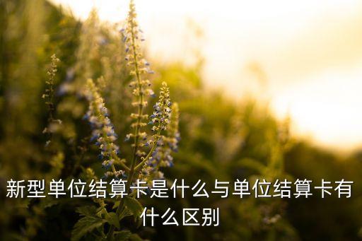 新型單位結(jié)算卡是什么與單位結(jié)算卡有什么區(qū)別