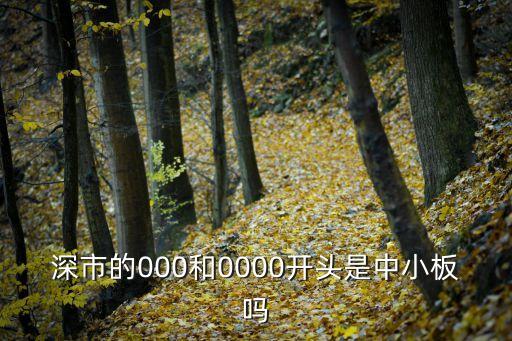 股票中小板什么開(kāi)頭，中小板股票是以什么開(kāi)頭的