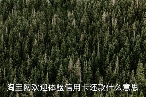 淘寶網(wǎng)歡迎體驗(yàn)信用卡還款什么意思