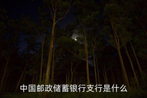中國郵政儲(chǔ)蓄銀行支行是什么