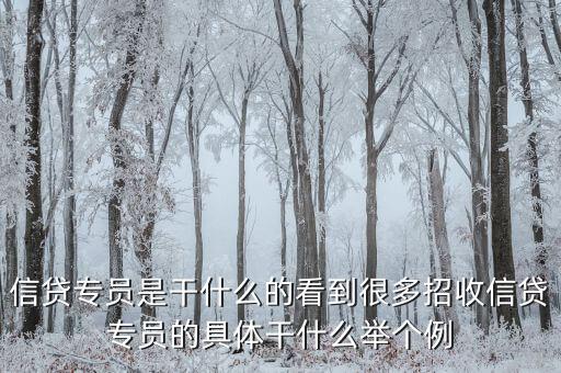 信貸專員是干什么的看到很多招收信貸專員的具體干什么舉個(gè)例
