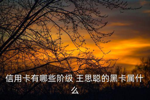 王思聰?shù)暮诳ㄊ鞘裁?，王思聰有黑卡?/></a></span><span id=