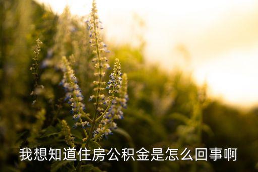 我想知道住房公積金是怎么回事啊