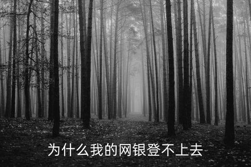 為什么登不上銀行官網(wǎng)，工行網(wǎng)上銀行登陸網(wǎng)頁(yè)打不開是怎么回事