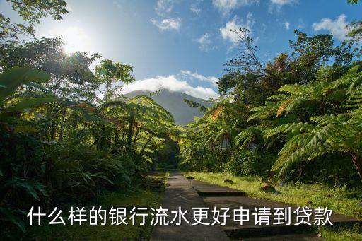 工行走什么流水最有用，我想知道做那個銀行的流水有助于貸款之類的四大行里還是十大行里