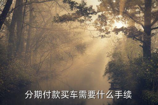分期買(mǎi)車(chē)有什么手續(xù)，購(gòu)車(chē)分期付款需要哪些手續(xù)