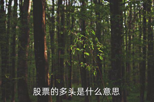 股市中多頭是什么意思，股市多頭行情是什么意思