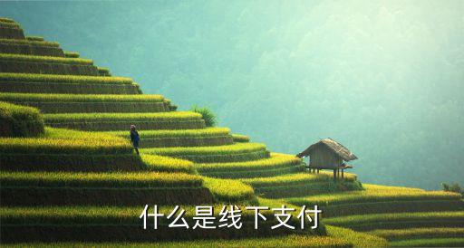 信用卡什么叫線下消費，什么是線下支付