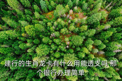 建行的龍支付有什么用，建設(shè)銀行龍支付和支付寶有什么不同