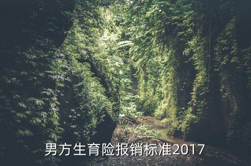 男方生育險(xiǎn)報(bào)銷(xiāo)標(biāo)準(zhǔn)2017