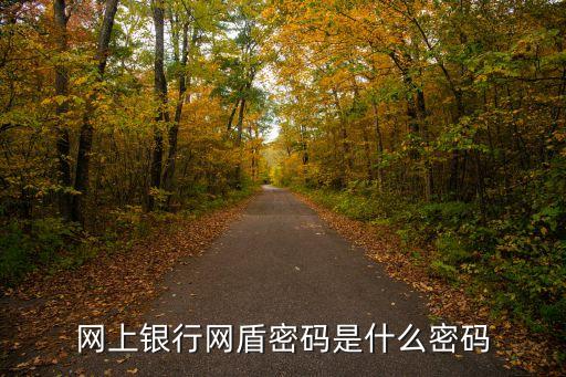 網(wǎng)上銀行網(wǎng)盾密碼是什么密碼