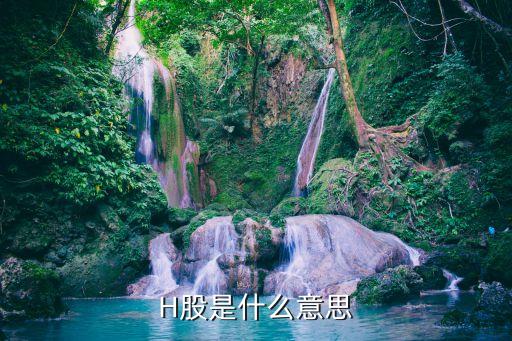 a h股是什么意思，H股是什么意思