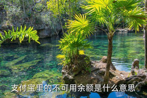 支付寶里的不可用余額是什么意思