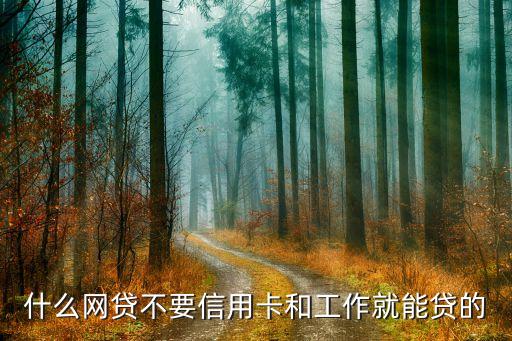 什么網(wǎng)貸不要信用卡和工作就能貸的