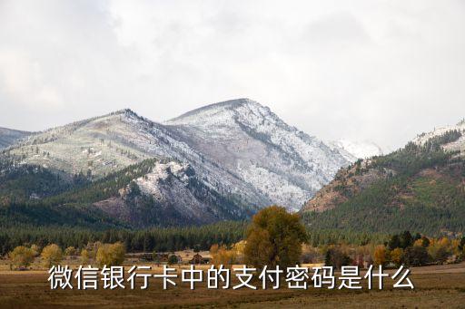 信用卡手機微信支付密碼是什么意思啊，微信銀行卡中的支付密碼是什么