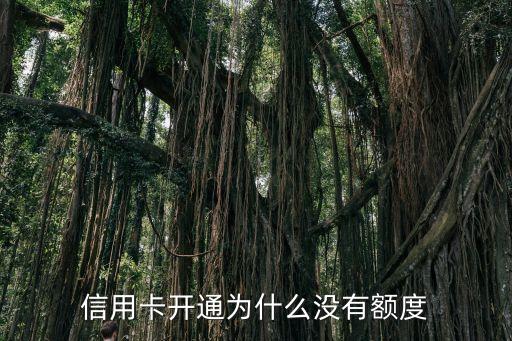 為什么信用卡沒有額度，信用卡開通為什么沒有額度