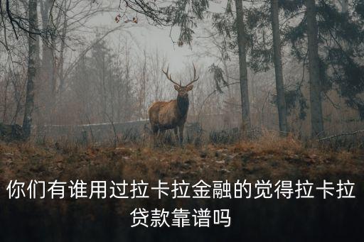 你們有誰用過拉卡拉金融的覺得拉卡拉貸款靠譜嗎