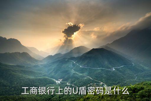 企業(yè)網(wǎng)上銀行u盾密碼是什么意思，網(wǎng)上銀行網(wǎng)盾密碼是什么密碼