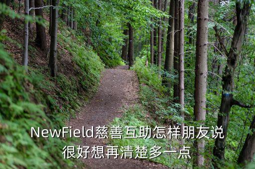 newfield怎么分紅的，NewField慈善互助怎樣朋友說很好想再清楚多一點