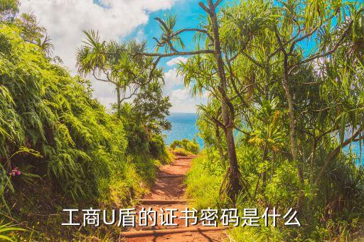 工商U盾的證書密碼是什么