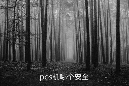 pos機什么牌子安全，POS機哪個牌子的最好最安全