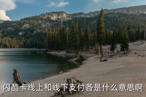 閃酷卡線上和線下支付各是什么意思啊