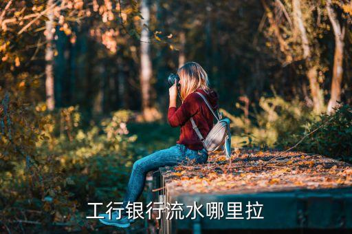 工行銀行流水哪里拉