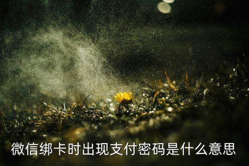 微信綁卡時出現(xiàn)支付密碼是什么意思