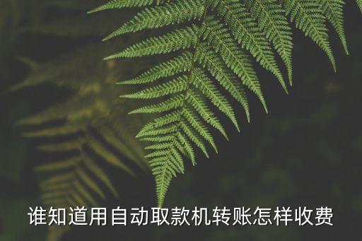 用取款機(jī)轉(zhuǎn)賬怎么轉(zhuǎn)賬手續(xù)費(fèi)，誰知道用自動(dòng)取款機(jī)轉(zhuǎn)賬怎樣收費(fèi)