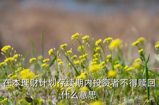 在本理財計劃存續(xù)期內(nèi)投資者不得贖回什么意思