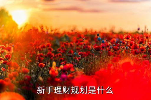 新手理財(cái)規(guī)劃是什么