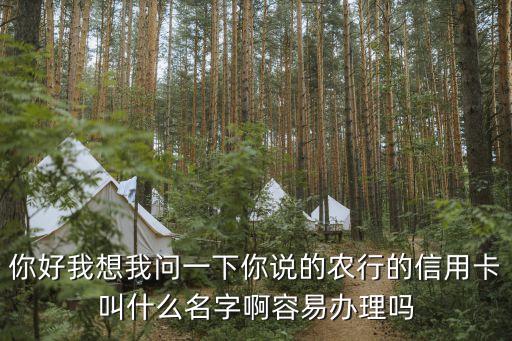 農(nóng)行信用卡叫什么名字嗎，你好我想我問一下你說(shuō)的農(nóng)行的信用卡叫什么名字啊容易辦理嗎