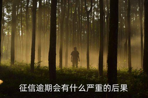 征信逾期會有什么嚴重的后果