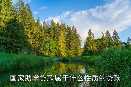 國(guó)家助學(xué)貸款的性質(zhì)是什么，國(guó)家助學(xué)貸款屬于什么性質(zhì)的貸款