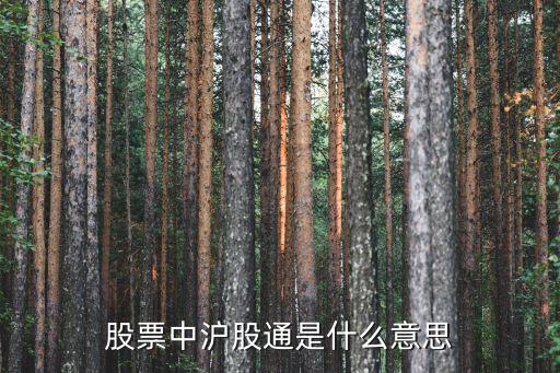 股票中滬股通是什么意思